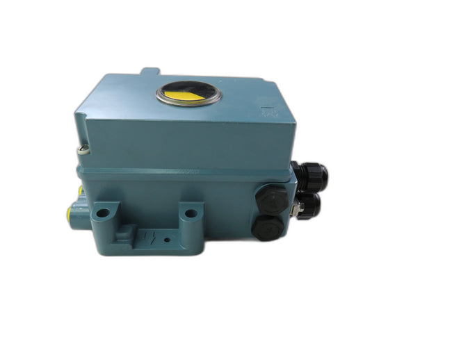 ECKARDT INVENSYS  SRD991-BDNT7EA4NY-V14    New