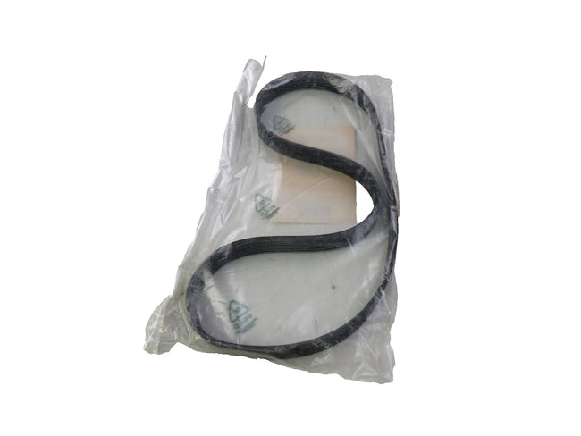 Remeha 7721846 2 CYLINDER PUMP BELT New